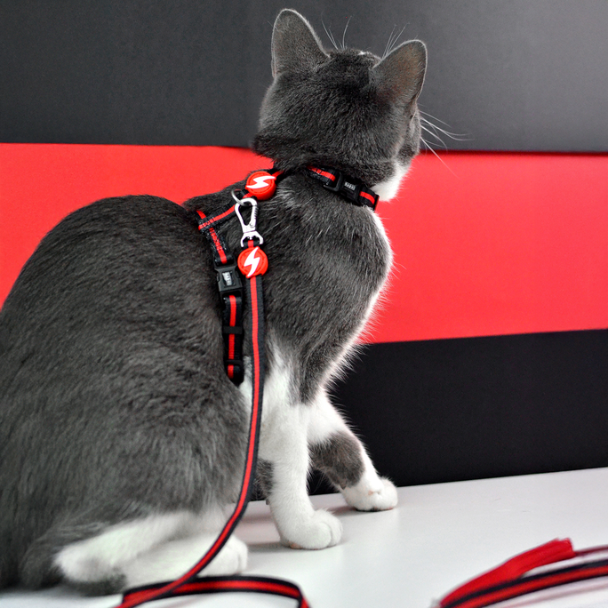 DASHI Stripes3 Red&Black pavada, 1 gab. - 4