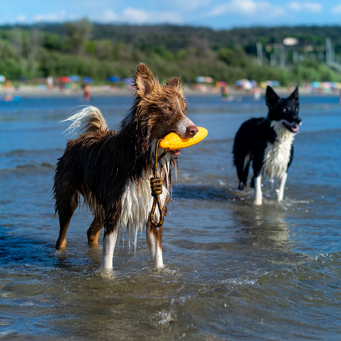 KIWI WALKER skraidančios formos, žalias, MINI žaislas, 1 vnt. - 4