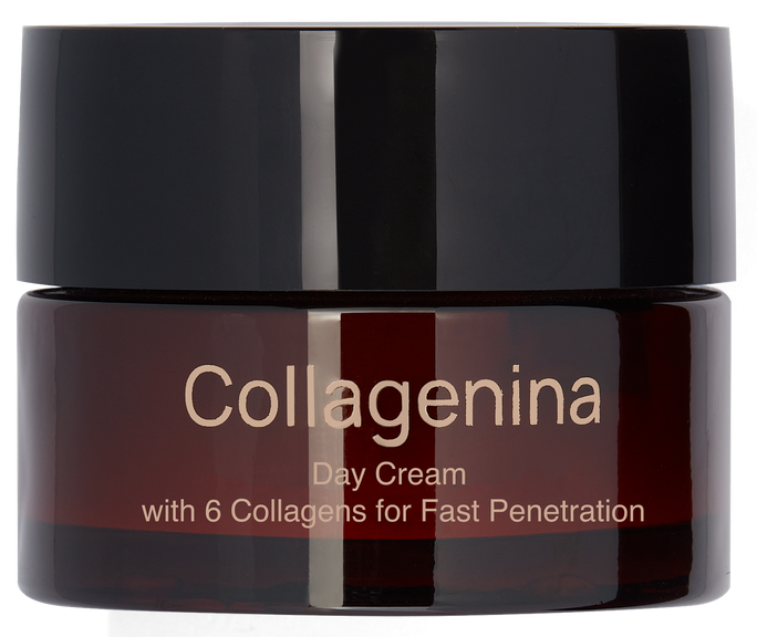 COLLAGENINA With 6 Collagens, Grade 2, Day sejas krēms, 50 ml - 1