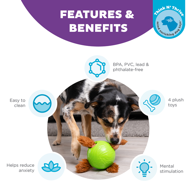 OUTWARD HOUND Puzle Snuffle N' Treat Ball, Zaļa, S rotaļlieta, 1 gab. - 2