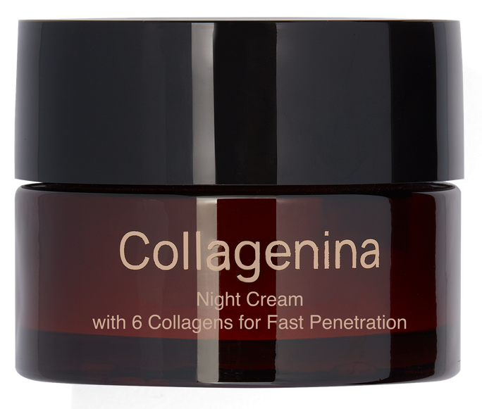 COLLAGENINA With 6 Collagens, Grade 3, Night sejas krēms, 50 ml - 1