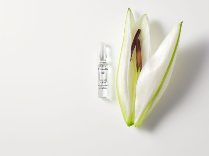DR.HAUSCHKA Renew & Activate Ampoules (2 ml) ampulas, 28 gab. - 2