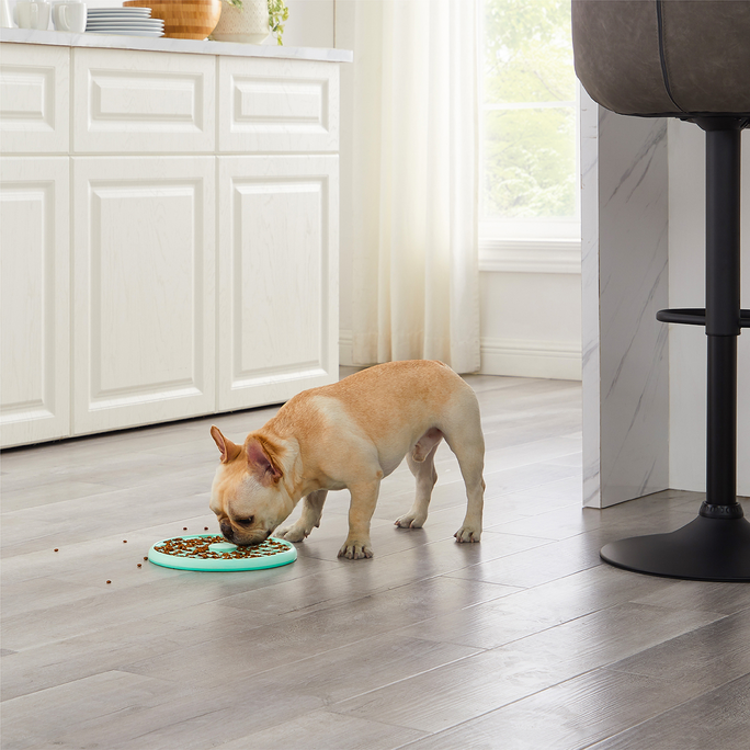 OUTWARD HOUND Fun Feeder Slo Tray, gaiši zaļa, L, Lēnēšanas rotaļlieta, 1 gab. - 3