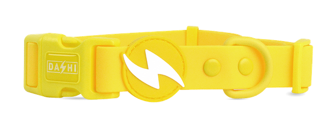 DASHI Colorflex Yellow S kakla siksna, 1 gab. - 1