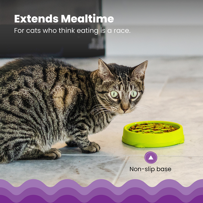 CATSTAGES Kitty Slow Feeder, Zaļa, S, Lēnēšanas bļoda, 1 gab. - 2