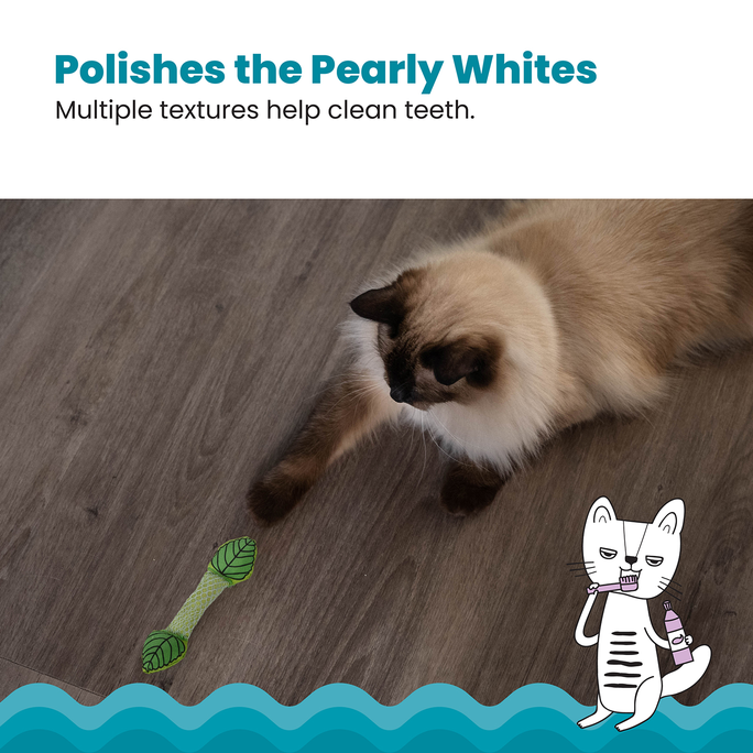 CATSTAGES Fresh Breath Mint Stick Zaļa rotaļlieta, 1 gab. - 2