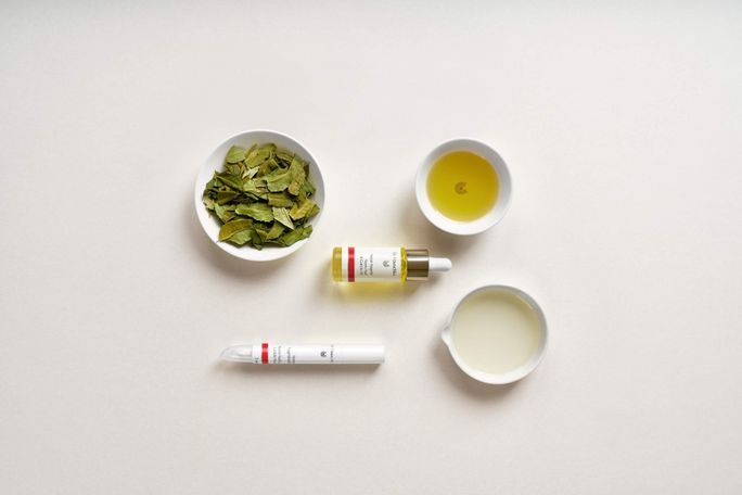 DR.HAUSCHKA Neem eļļa nagiem un kutikulai, 18 ml - 3