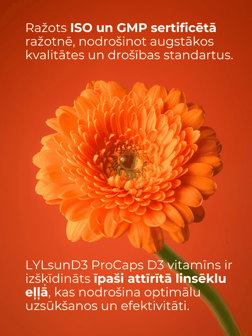 LYL sunD3 ProCaps 4000 SV kapsulas, 60 gab. - 5
