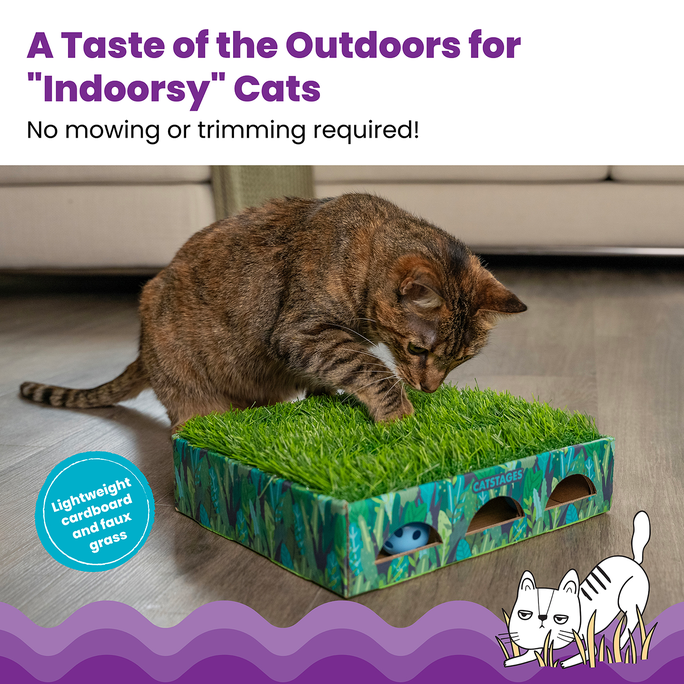 CATSTAGES Grass Patch Hunting Box, Zaļa, S rotaļlieta, 1 gab. - 2