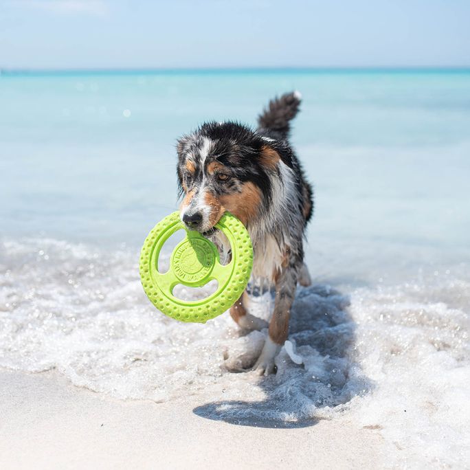 KIWI WALKER TPG Frisbijs, Mini- Zila rotaļlieta, 1 gab. - 4