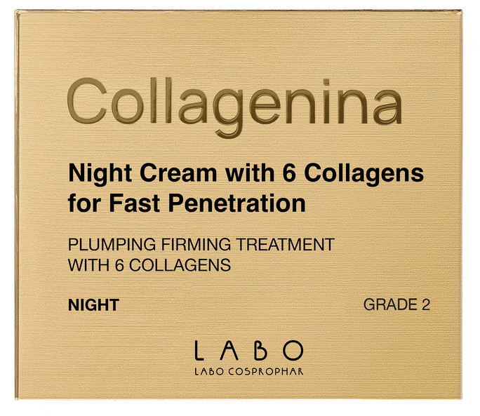 COLLAGENINA With 6 Collagens, Grade 2, Night sejas krēms, 50 ml - 2