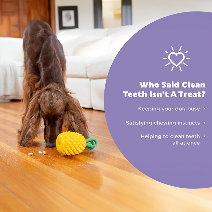 OUTWARD HOUND Dental Pineapple, Dzeltena rotaļlieta, 1 gab. - 3