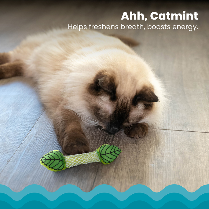 CATSTAGES Fresh Breath Mint Stick Zaļa rotaļlieta, 1 gab. - 4