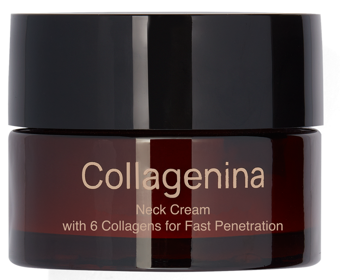 COLLAGENINA With 6 Collagens, Grade 2, Neck krēms, 50 ml - 1