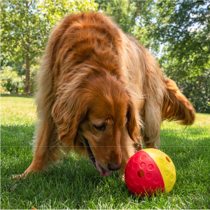 OUTWARD HOUND Treat Tumble, raudonas, L žaislas, 1 vnt. - 3