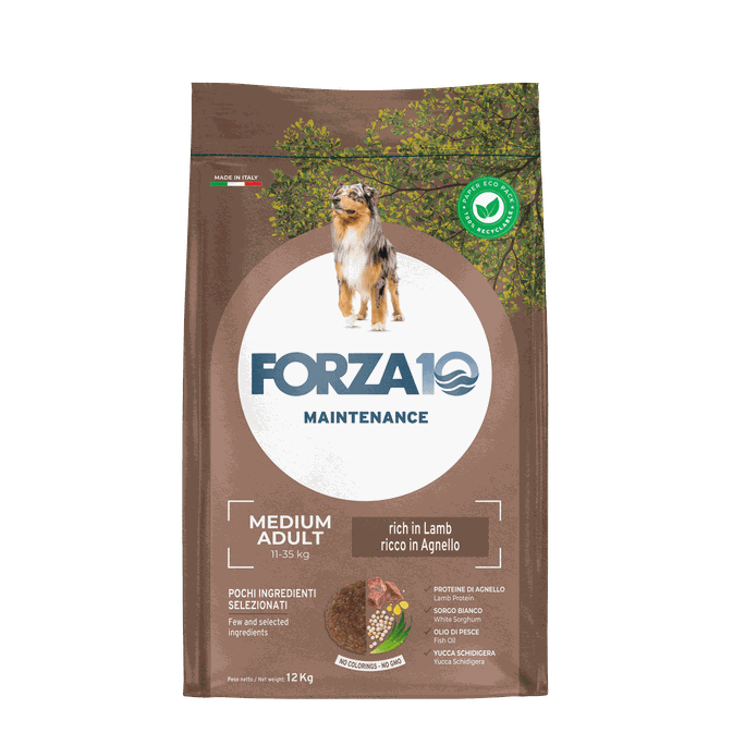 FORZA10 Maintenance Medium Adult Ar Jēru, Suņiem sausā barība, 12 kg - 1