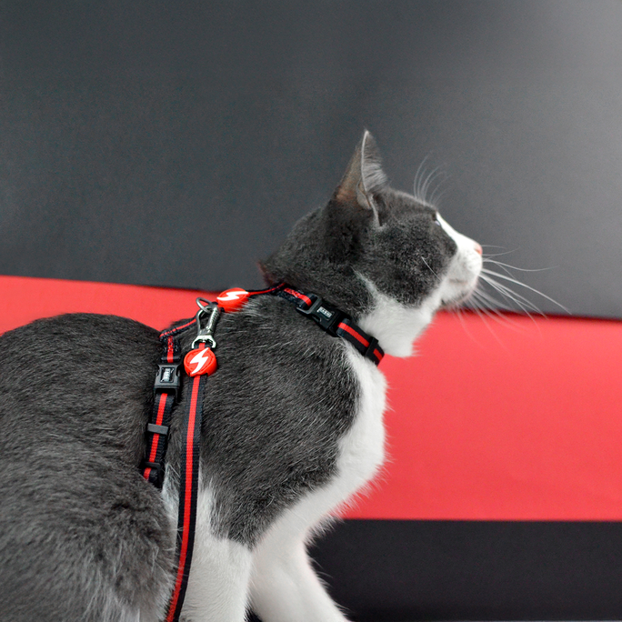 DASHI Stripes3 Red&Black pavada, 1 gab. - 2