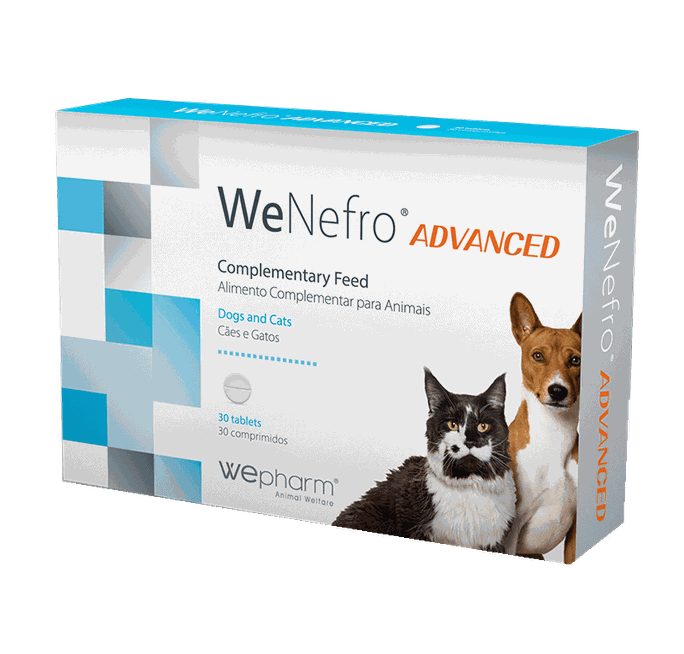 WEPHARM WeNefro Advanced tabletes, 30 gab. - 1