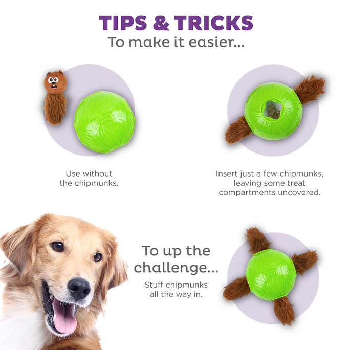 OUTWARD HOUND Puzle Snuffle N' Treat Ball, Zaļa, S rotaļlieta, 1 gab. - 4