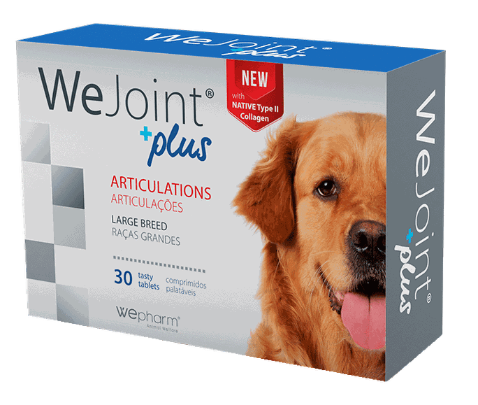WEPHARM WeJoint Plus Lielo Šķirņu Suņiem tabletes, 30 gab. - 1
