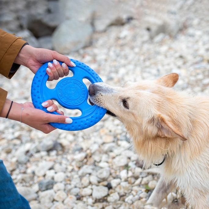KIWI WALKER TPG Frisbijs, Mini- Zila rotaļlieta, 1 gab. - 3
