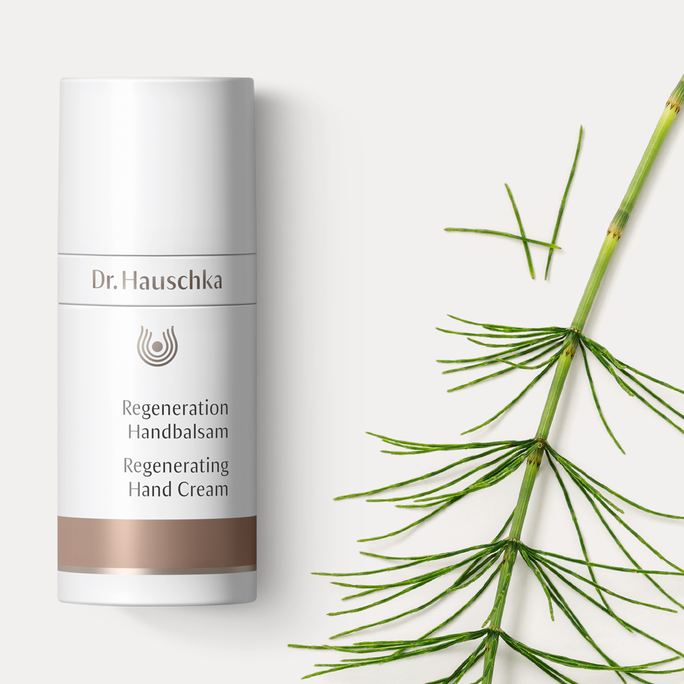 DR.HAUSCHKA Regenerating roku krēms, 50 ml - 3