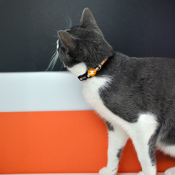 DASHI Stripes3 Orange&Black Kaķim kakla siksna, 1 gab. - 4