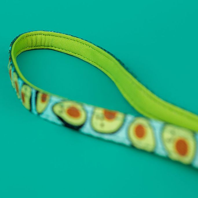DASHI Avocado krūšu siksna un pavada kaķim, 1 gab. - 3