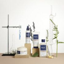PHYTO Repair Repairing šampūns, 250 ml - 2