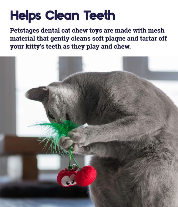 PETSTAGES Dental Cherries, Sarkana rotaļlieta, 1 gab. - 2