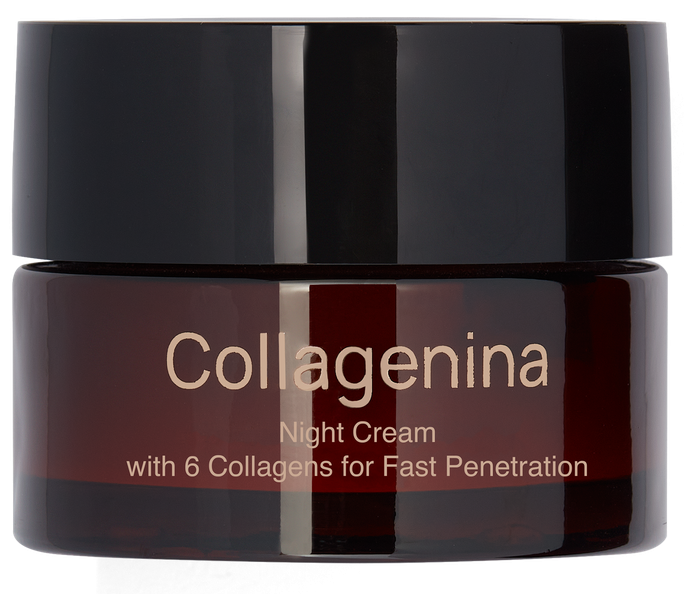 COLLAGENINA With 6 Collagens, Grade 2, Night sejas krēms, 50 ml - 1