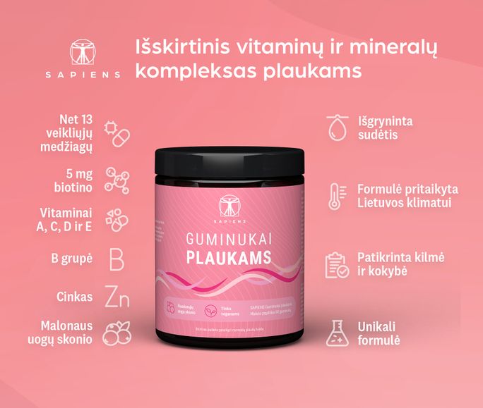 SAPIENS Plaukams guminukai, 60 vnt. - 2