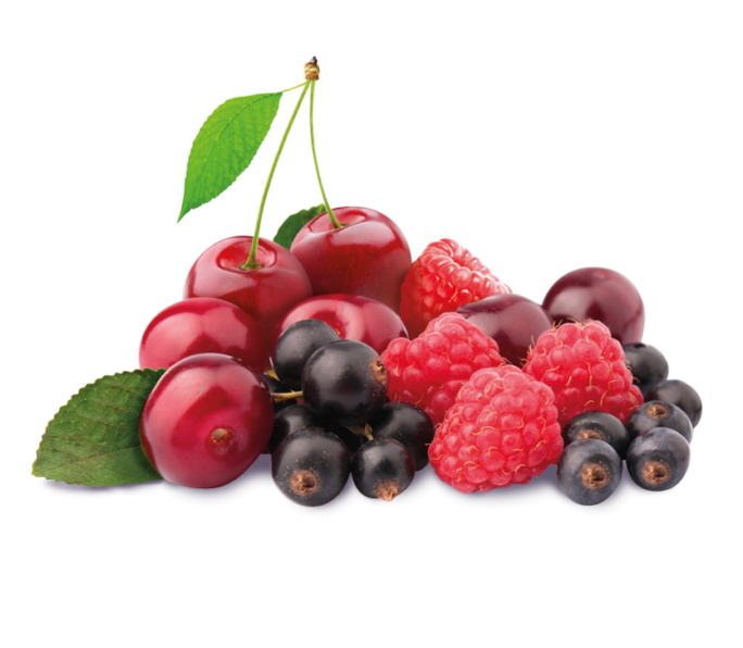 ALPENBAUER BIO Waldbeere konfektes, 90 g - 2