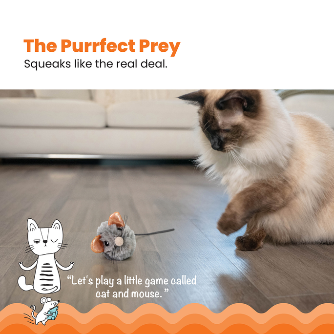 CATSTAGES Squeak Squeak Mouse, Pelēka rotaļlieta, 1 gab. - 2