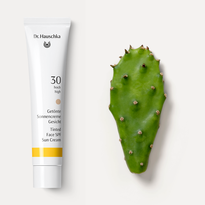 DR.HAUSCHKA Tinted Face Sun SPF 30 sejas krēms, 40 ml - 2