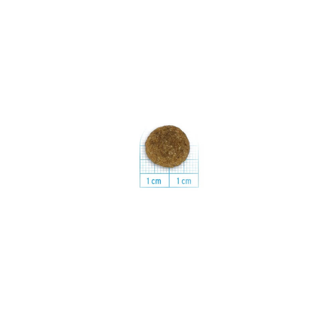 FORZA10 Maintenance Adult All Size Ar Cūku, Suņiem sausā barība, 12 kg - 4