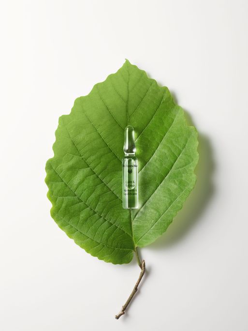 DR.HAUSCHKA Calm & Balance (2 ml) ampulės, 7 vnt. - 4