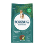 FORZA10 Maintenance Medium Adult, su elniena ir bulvėmis, šunims sausas pašaras, 2 kg thumbnail 1