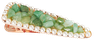 CRYSTALLOVE Aventurine matu sprādze, 1 gab. thumbnail 1