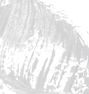 CHRISTIAN BRETON Eyelash Builder serums, 5 g thumbnail 2