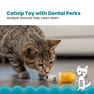 PETSTAGES Dental Banana, Dzeltena rotaļlieta, 1 gab. thumbnail 2