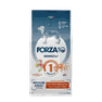 FORZA10 Monodiet Medium Adult Ar Zirgu Un Zirņiem, Suņiem sausā barība, 12 kg thumbnail 1