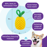 OUTWARD HOUND Dental Pineapple, Dzeltena rotaļlieta, 1 gab. thumbnail 4