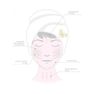 CRYSTALLOVE 3D Rose Quartz Gua Sha masāžas plāksne, 1 gab. thumbnail 2