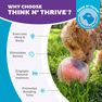 OUTWARD HOUND Puzle Topsy Treat Ball, Oranža rotaļlieta, 1 gab. thumbnail 4