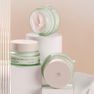 MIZON Phyto Plump Collagen nakts sejas krēms, 50 ml thumbnail 4