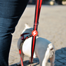 DASHI Stripes3 Red&Black  S iemaukti, 1 gab. thumbnail 3
