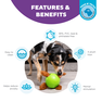 OUTWARD HOUND Puzle Snuffle N' Treat Ball, Zaļa, S rotaļlieta, 1 gab. thumbnail 2
