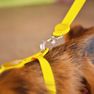 DASHI Colorflex Yellow L pavada, 1 gab. thumbnail 4
