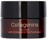 COLLAGENINA With 6 Collagens, Grade 3, Day sejas krēms, 50 ml thumbnail 1